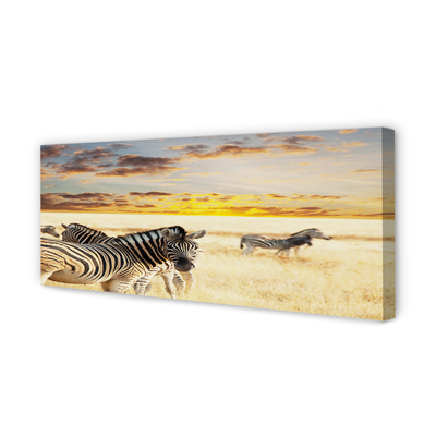 Obraz na płótnie Zebry pole zachód słońca