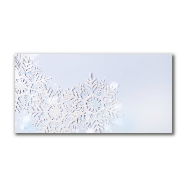 Obraz Canvas Płatki śniegu Zima Śnieg