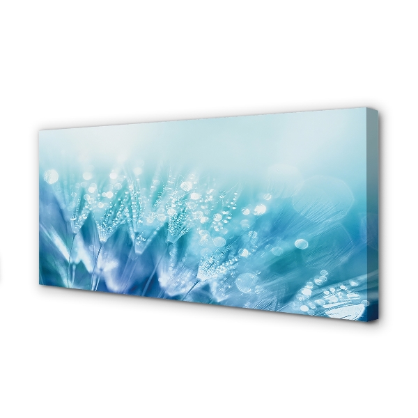 Obraz na płótnie Artystyczna Wizja Dmuchawca