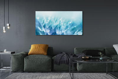 Obraz na płótnie Artystyczna Wizja Dmuchawca