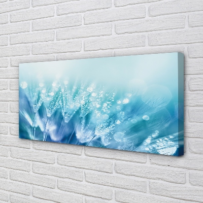 Obraz na płótnie Artystyczna Wizja Dmuchawca