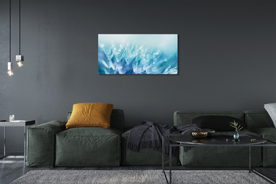 Obraz na płótnie Artystyczna Wizja Dmuchawca