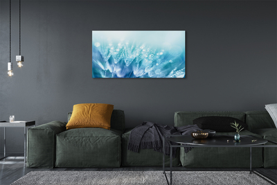 Obraz na płótnie Artystyczna Wizja Dmuchawca