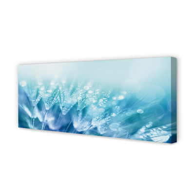 Obraz na płótnie Artystyczna Wizja Dmuchawca