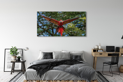 Obraz na płótnie Papuga ara