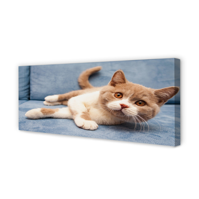 Duży obraz na płótnie Kot w Pozycji Leżącej