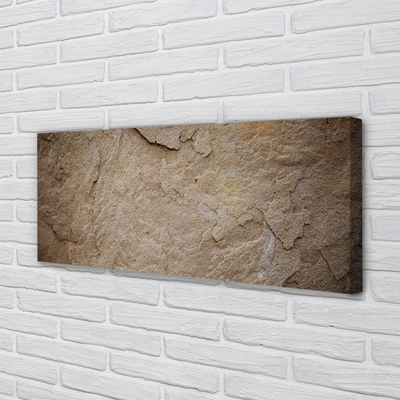 Obraz drukowany na płótnie Skalna Tekstura Muru