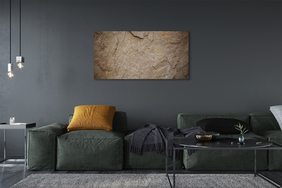 Obraz drukowany na płótnie Skalna Tekstura Muru