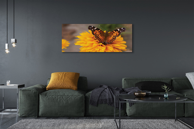 Obraz na płótnie Kolorowy Motyl i Kwiat