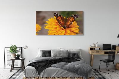 Obraz na płótnie Kolorowy motyl kwiat