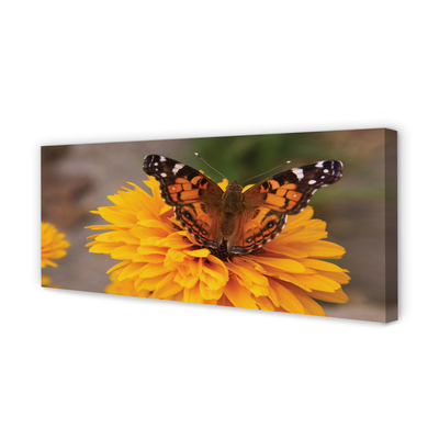 Obraz na płótnie Kolorowy Motyl i Kwiat