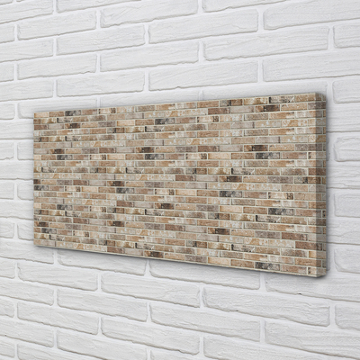 Obraz na płótnie Estetyka Starych Cegieł