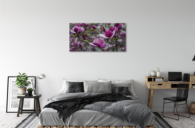 Obraz na płótnie Fioletowa magnolia