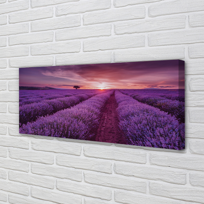 Obraz canvas na ścianę Pole Wrzosów