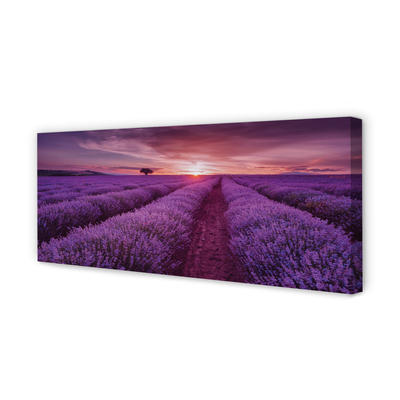 Obraz canvas na ścianę Pole Wrzosów