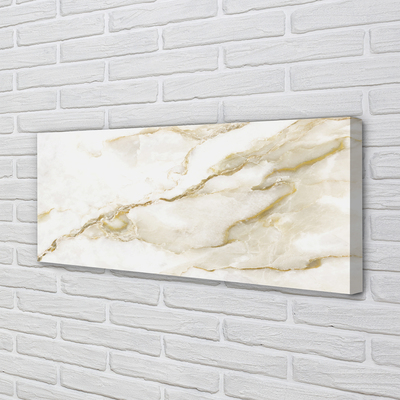 Fotoobraz na płótnie Płytka Marmurowa w Zbliżeniu