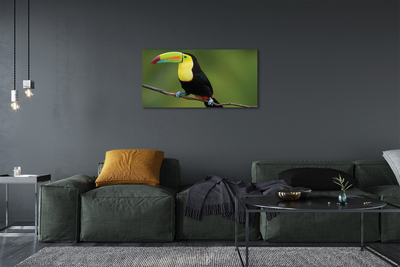 Obraz na płótnie Kolorowa papuga na gałęzi