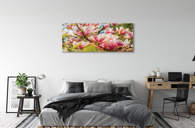 Obraz na płótnie Różowa magnolia