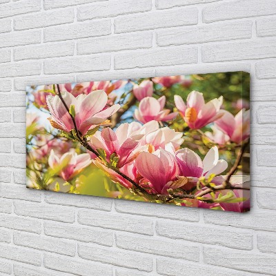 Obraz na płótnie Różowa magnolia
