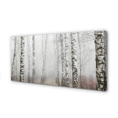 Zdjęcie na płótnie Mgła w Lesie Brzozowym