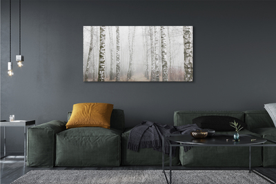 Zdjęcie na płótnie Mgła w Lesie Brzozowym