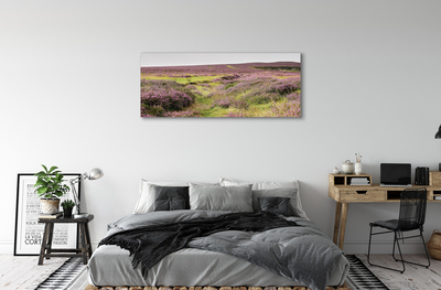 Obraz drukowany na płótnie Pole Wrzosów