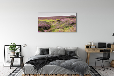 Obraz drukowany na płótnie Pole Wrzosów