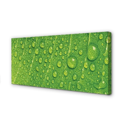 Zdjęcie na płótnie Makro Detal Liścia z Rosą