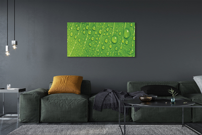 Zdjęcie na płótnie Makro Detal Liścia z Rosą