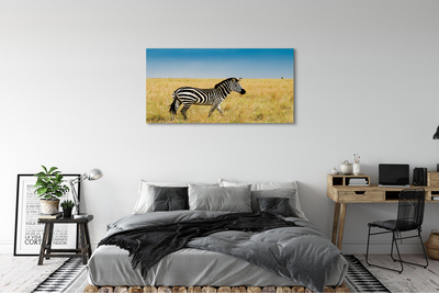 Obraz na płótnie Zebra pole