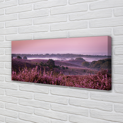 Obraz drukowany na płótnie Pole Wrzosów