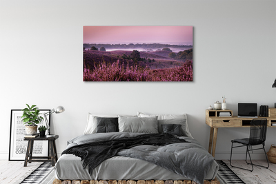 Obraz drukowany na płótnie Pole Wrzosów