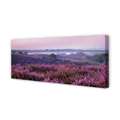 Obraz drukowany na płótnie Pole Wrzosów