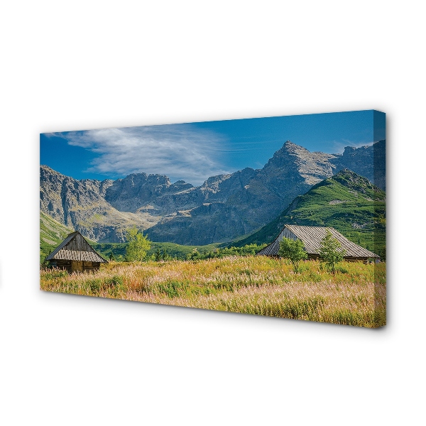 Zdjęcie na płótnie Góry, Pola i Domki