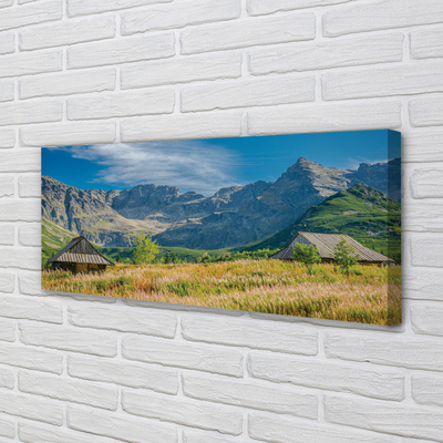 Zdjęcie na płótnie Góry, Pola i Domki