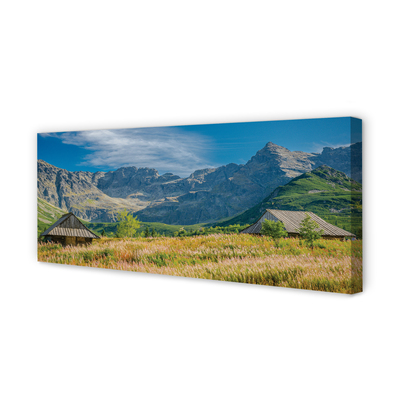 Zdjęcie na płótnie Góry, Pola i Domki