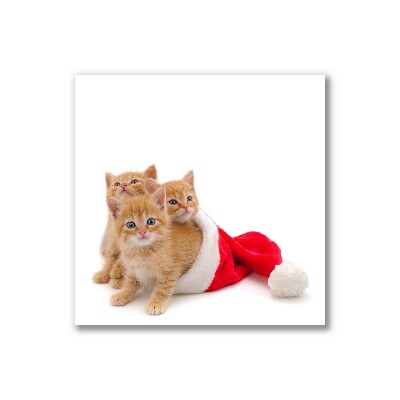 Obraz Canvas Koty Święta Święty mikołaj