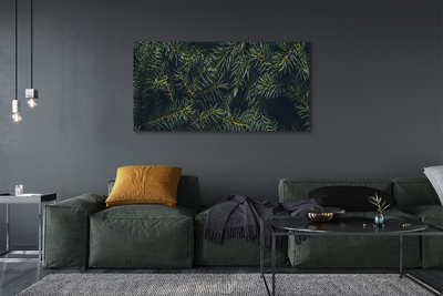 Zdjęcie na płótnie Gałązki i Choinka