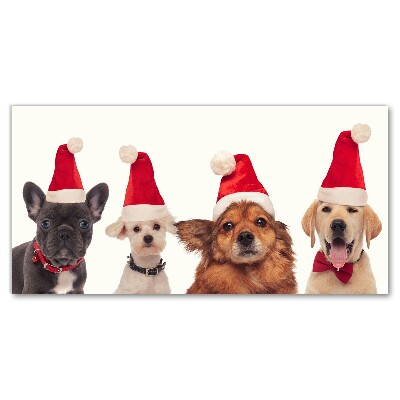 Obraz Canvas Psy Święty Mikołaj Święta