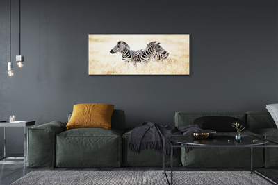 Obraz na płótnie Zebry na Otwartym Terenie