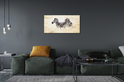 Obraz na płótnie Zebry na Otwartym Terenie