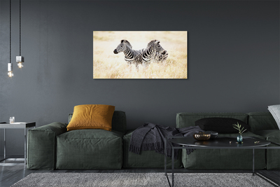 Obraz na płótnie Zebry na Otwartym Terenie