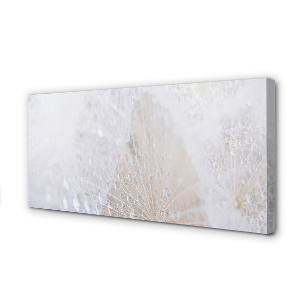 Fotoobraz na płótnie Abstrakcyjny Motyw Dmuchawca