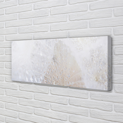 Fotoobraz na płótnie Abstrakcyjny Motyw Dmuchawca