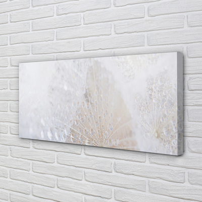 Fotoobraz na płótnie Abstrakcyjny Motyw Dmuchawca