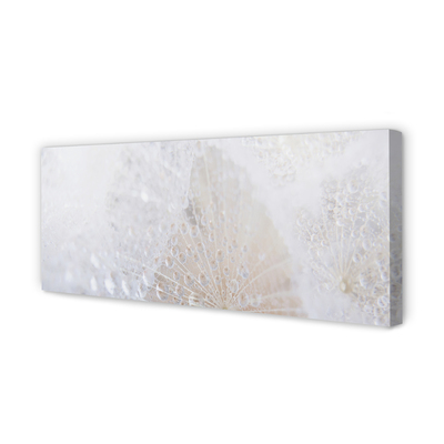 Fotoobraz na płótnie Abstrakcyjny Motyw Dmuchawca