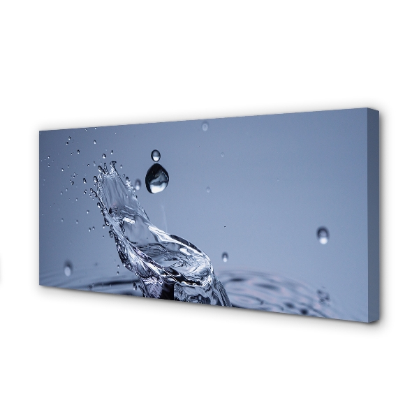 Duży obraz na płótnie Pojedyncza Kropla Rosy