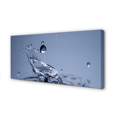 Duży obraz na płótnie Pojedyncza Kropla Rosy