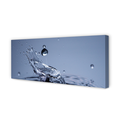 Duży obraz na płótnie Pojedyncza Kropla Rosy