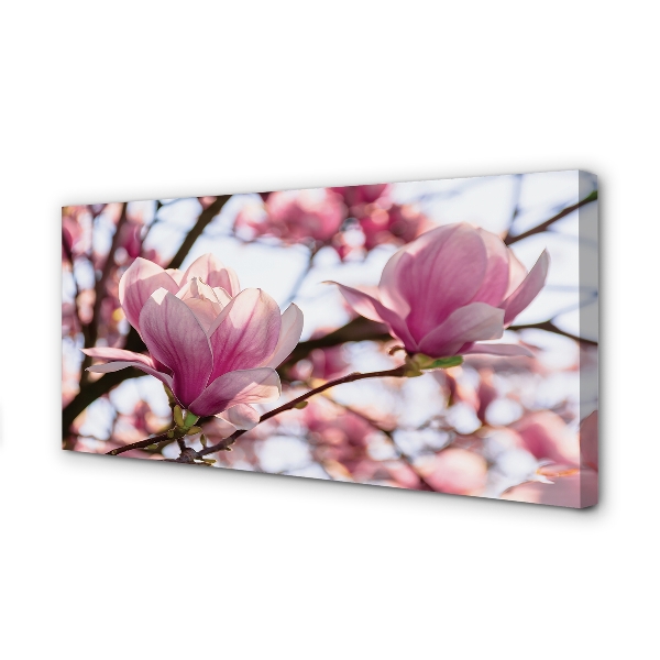Duży obraz na płótnie Drzewa Magnolii